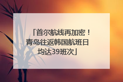 首尔航线再加密！青岛往返韩国航班日均达39班次