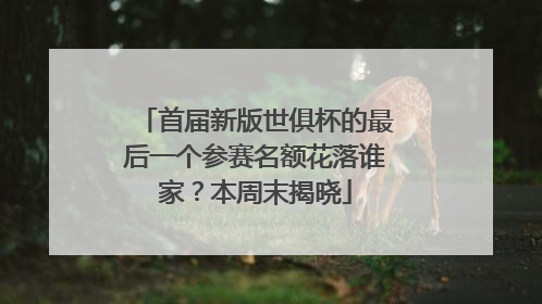 首届新版世俱杯的最后一个参赛名额花落谁家？本周末揭晓