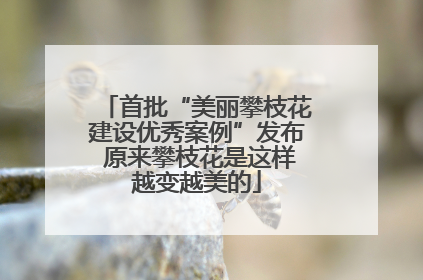 首批“美丽攀枝花建设优秀案例”发布 原来攀枝花是这样越变越美的