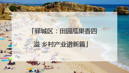 驿城区：田园瓜果香四溢 乡村产业谱新篇