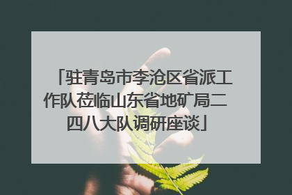 驻青岛市李沧区省派工作队莅临山东省地矿局二四八大队调研座谈