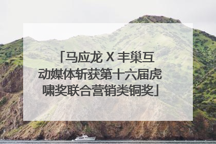 马应龙 X 丰巢互动媒体斩获第十六届虎啸奖联合营销类铜奖