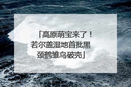 高原萌宝来了！若尔盖湿地首批黑颈鹤雏鸟破壳