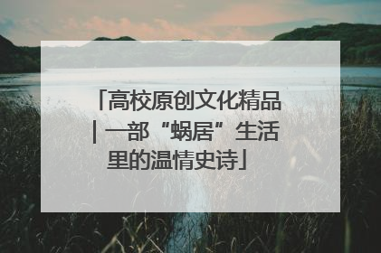 高校原创文化精品｜一部“蜗居”生活里的温情史诗