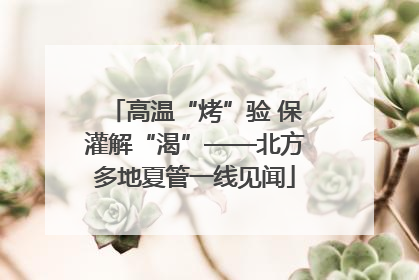 高温“烤”验 保灌解“渴”——北方多地夏管一线见闻