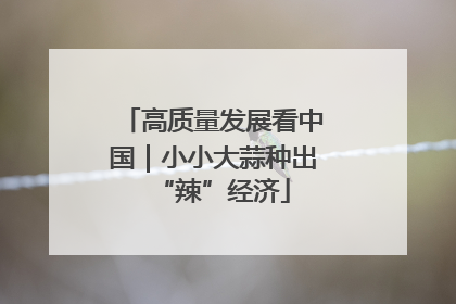 高质量发展看中国｜小小大蒜种出“辣”经济