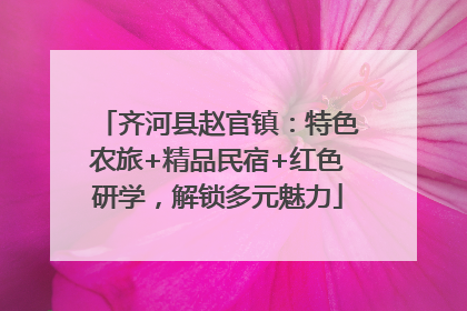 齐河县赵官镇：特色农旅+精品民宿+红色研学，解锁多元魅力