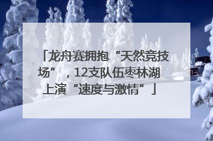 龙舟赛拥抱“天然竞技场”，12支队伍枣林湖上演“速度与激情”