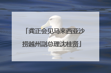 龚正会见马来西亚沙捞越州副总理沈桂贤