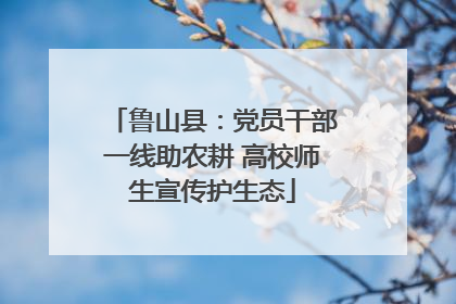 鲁山县：党员干部一线助农耕 高校师生宣传护生态