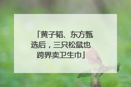 黄子韬、东方甄选后，三只松鼠也跨界卖卫生巾