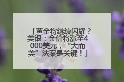 黄金将继续闪耀？美银：金价将涨至4000美元，“大而美”法案是关键！