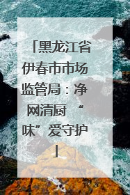 黑龙江省伊春市市场监管局：净网清厨 “味”爱守护
