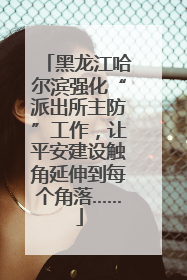 黑龙江哈尔滨强化“派出所主防”工作，让平安建设触角延伸到每个角落……