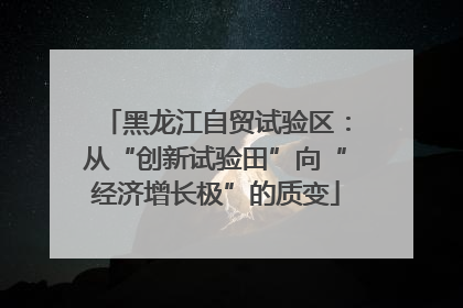 黑龙江自贸试验区：从“创新试验田”向“经济增长极”的质变