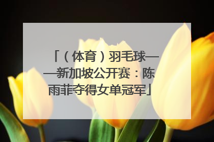 （体育）羽毛球——新加坡公开赛：陈雨菲夺得女单冠军