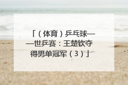 （体育）乒乓球——世乒赛：王楚钦夺得男单冠军（3）