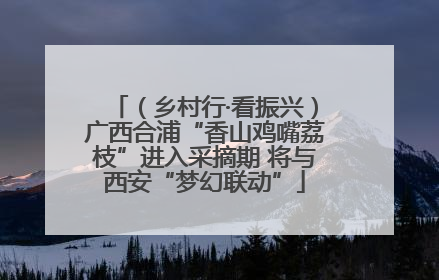 （乡村行·看振兴）广西合浦“香山鸡嘴荔枝”进入采摘期 将与西安“梦幻联动”