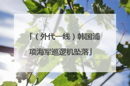 （外代一线）韩国浦项海军巡逻机坠落