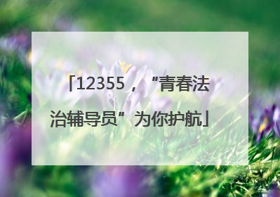 12355，“青春法治辅导员”为你护航