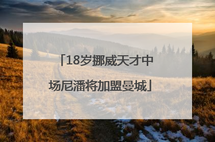 18岁挪威天才中场尼潘将加盟曼城
