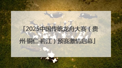 2025中国传统龙舟大赛（贵州·铜仁·碧江）预赛激情启幕