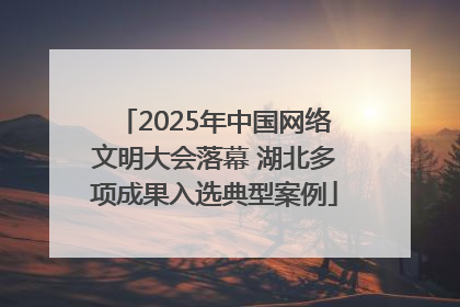 2025年中国网络文明大会落幕 湖北多项成果入选典型案例