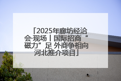 2025年廊坊经洽会·现场丨国际招商“磁力”足 外商争相向河北推介项目
