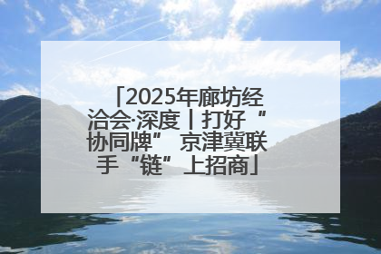 2025年廊坊经洽会·深度丨打好“协同牌” 京津冀联手“链”上招商