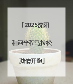 2025沈阳和河半程马拉松激情开跑