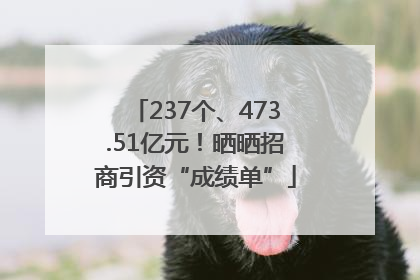 237个、473.51亿元！晒晒招商引资“成绩单”