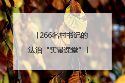 266名村书记的法治“实景课堂”