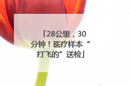 28公里，30分钟！医疗样本“打飞的”送检