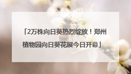 2万株向日葵热烈绽放！郑州植物园向日葵花展今日开幕