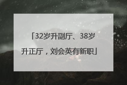 32岁升副厅、38岁升正厅，刘会英有新职