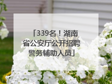 339名！湖南省公安厅公开招聘警务辅助人员