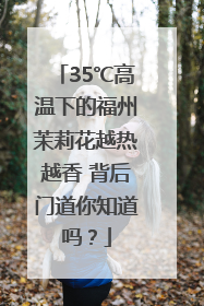 35℃高温下的福州茉莉花越热越香 背后门道你知道吗？
