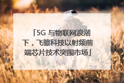 5G 与物联网浪潮下，飞骧科技以射频前端芯片技术突围市场