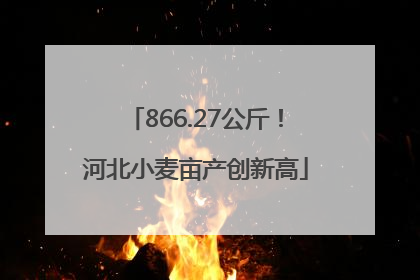 866.27公斤！河北小麦亩产创新高