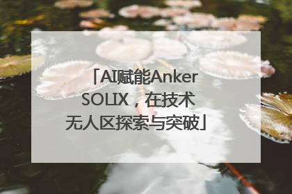 AI赋能Anker SOLIX，在技术无人区探索与突破