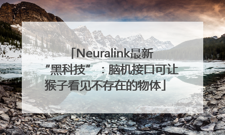 Neuralink最新“黑科技”：脑机接口可让猴子看见不存在的物体