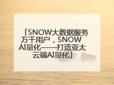 SNOW大数据服务万千用户，SNOW AI量化——打造亚太云端AI量化