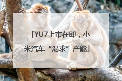 YU7上市在即，小米汽车“渴求”产能